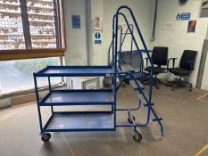 Blue Metal Order Picking Ladder