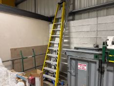 Werner 9 Rung Step Ladder