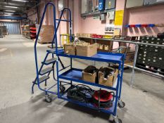 *NO RESERVE* Blue Metal Order Picking Ladder