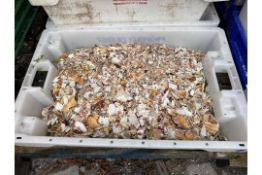 Crushed Scallop Shells x125 TubsNO RESERVE
