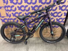 Orbea MX20 Kids Bike - Purple