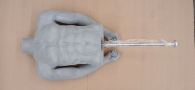 NO RESERVE NEW Male Light Grey Torso's x2