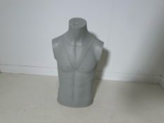 Male Mannequin - Torso