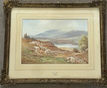 Sheep in Autumn Landscape-Wales