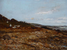 Ducks on a Foreshore