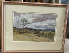 The Yarrow- Scottish Borders