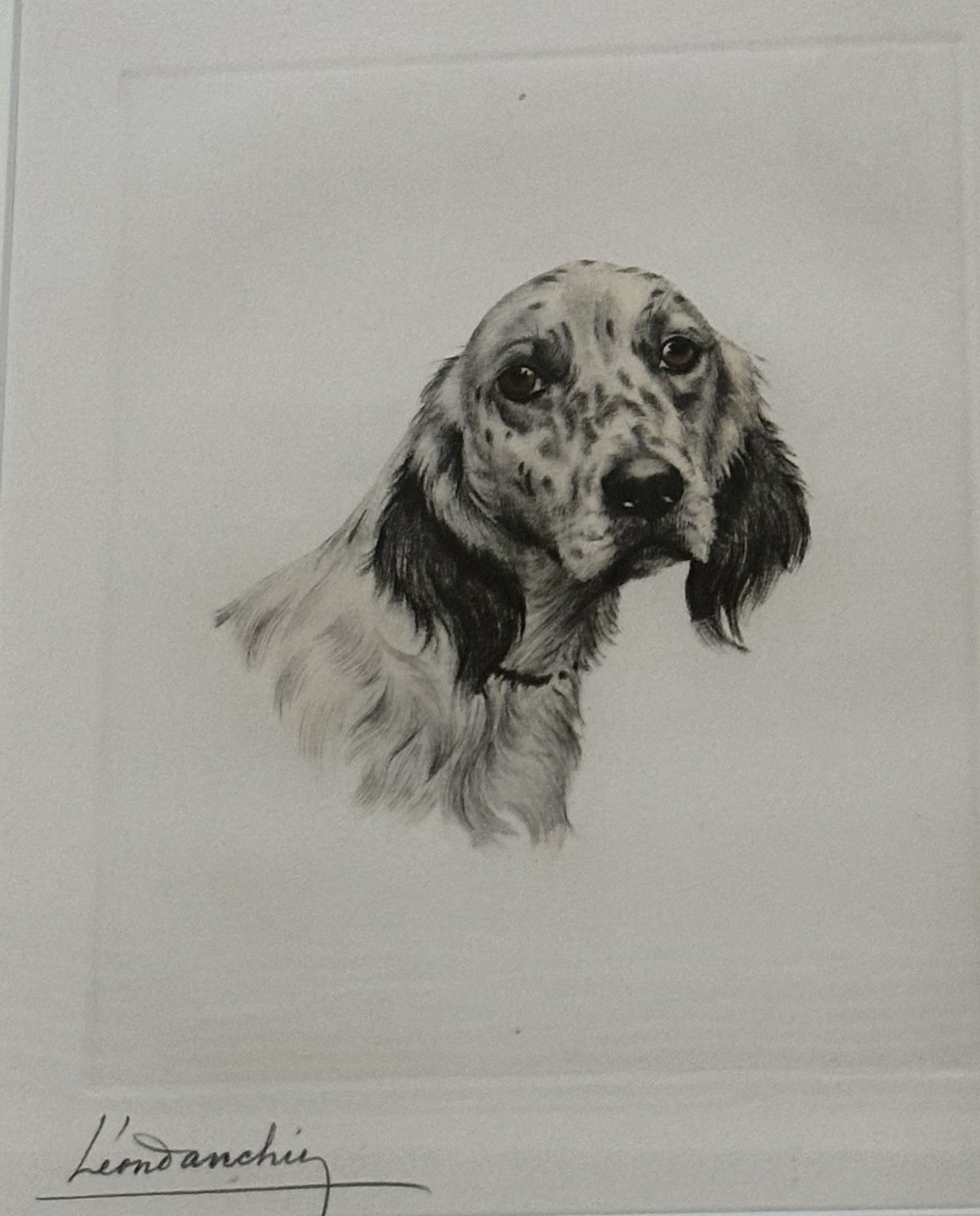Signed Etching of a dog - Image 3 of 3