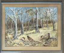 Pheasants in Woodland copse