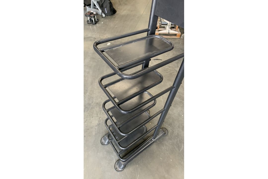 *NO RESERVE* Physical Gym Sandbag Rack - Image 4 of 4