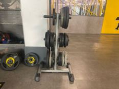 *NO RESERVE* Plate Tree