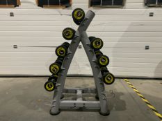*NO RESERVE* Dumbbell Weight Rack