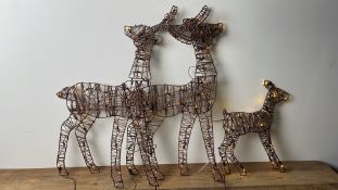 2DPK Deer Family
