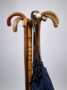 A GROUP OF JOHN OSBORNE'S WALKING STICKS AND AN UMBRELLA