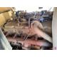 2012 CATERPILLAR 930K WHEEL LOADER METER READS 5975 HOURS, VIN/SN: CAT0930KLRHN00593, CAT C7.1 - Image 11 of 23