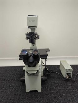 November Mixed Medical Equipment Timed Auction