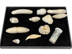 NATIVE AMERICAN ALASKAN INUIT WHITE STONE SINKER STONES, TOOLS, AND ALASKAN CARVED POLAR BEAR TOOTH