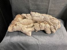 INCREDIBLE GEOLOGICAL SPECIMEN OF TUFA ROCK