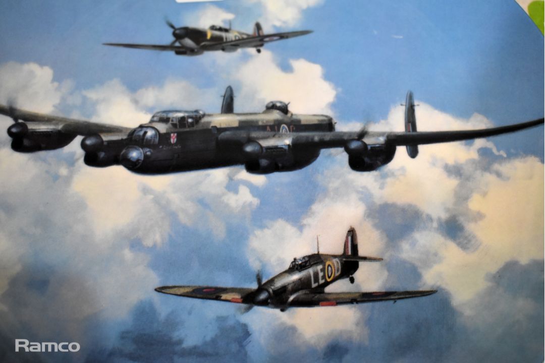 Coalport fine bone china - Reach for the sky series - Victory Flypast - number : 738B - Image 2 of 4