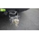 Land Rover Discovery 5 SDV6 3.0 DSE – BA68 OZN - Image 50 of 59