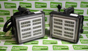 2x Dragon Max LED portable rechargeable LED lights