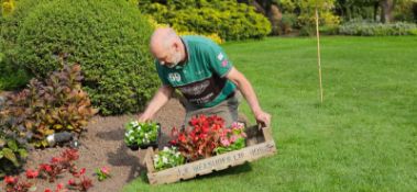 50x Wooden Potato chitting trays W 760 x D 460 x H 160mm