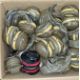 70x 3M peltor ear defenders - mixed types - Image 2 of 9