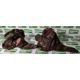 100x British Army DPM mixed hats - cold weather, tropical and combat - mixed sizes - Image 7 of 10