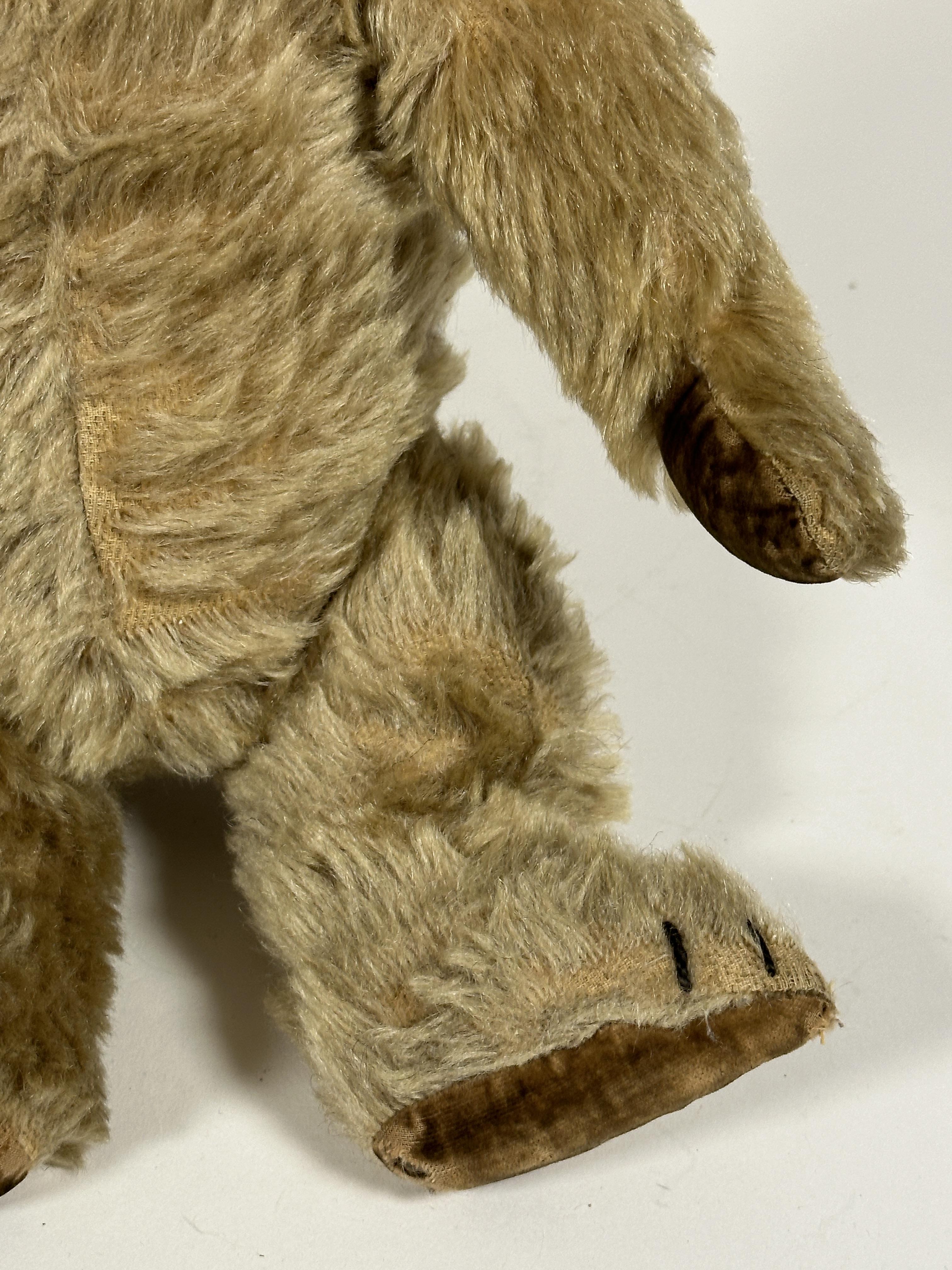 A 1920s golden mohair straw filled teddy bear with inset glass eyes, stiched nose and mouth and - Image 3 of 4