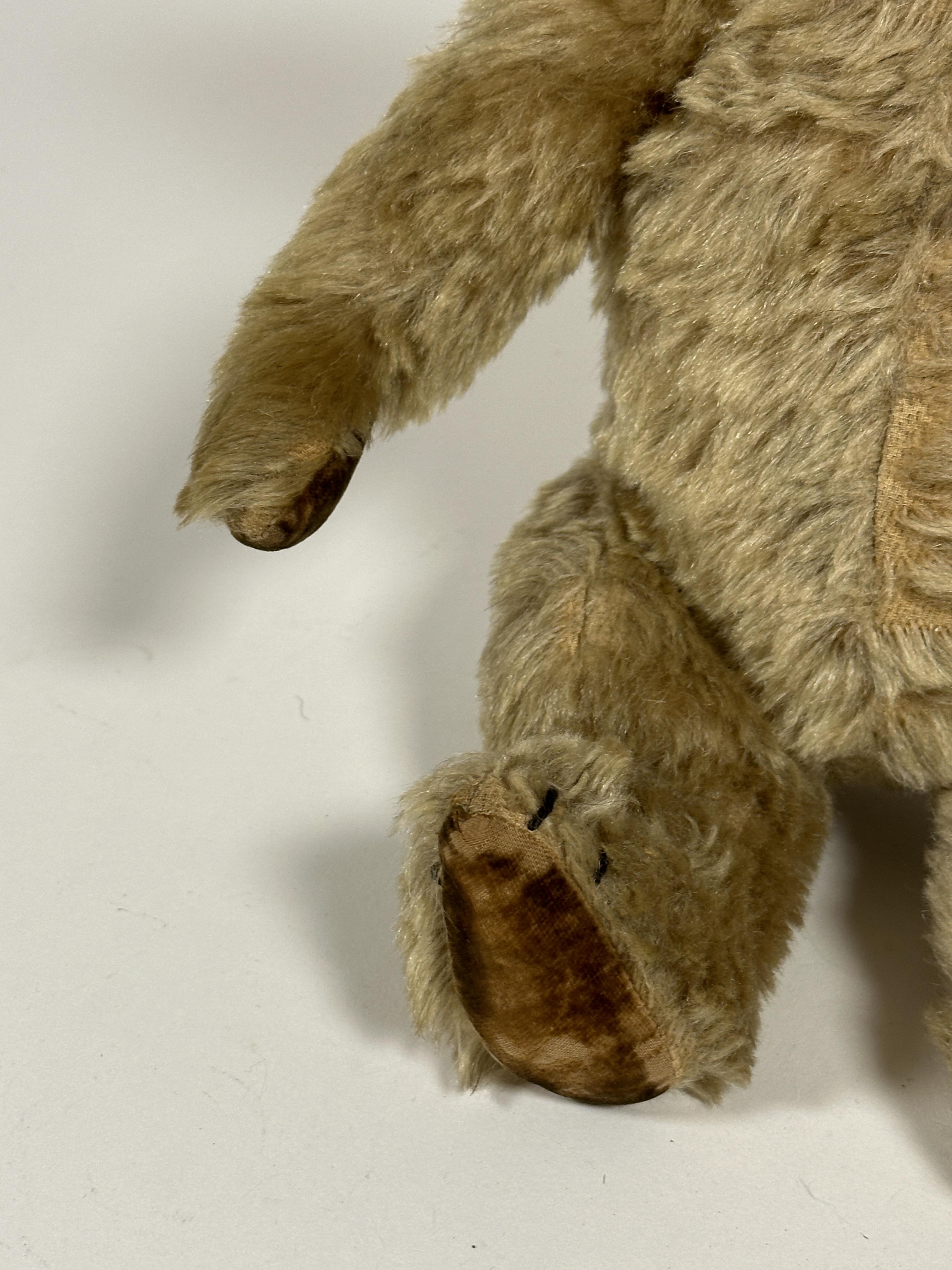 A 1920s golden mohair straw filled teddy bear with inset glass eyes, stiched nose and mouth and - Image 4 of 4