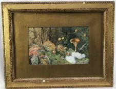 Victorian English School watercolour - Still Life Mossy Bank, in glazed gilt frame
