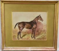 English School, early 20th century, watercolour portrait of a horse, 