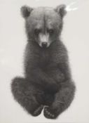 Gary Hodges, 'Sitting Pretty', pencil signed limited edition print of a brown bear, 160/1250, 33cm x