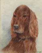 Dorothy Margaret and Elizabeth Alderson (1900-1992), watercolour of a red setter, signed and dated 1