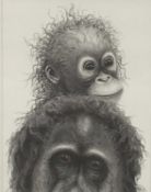 Gary Hodges, 'Plea for the Rainforest', pencil signed limited edition print of Orangutans, 1163/1500