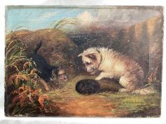 J. Langlois Terriers, oil on canvas, Terriers with hedgehog, signed