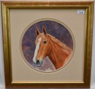 English School, contemporary, watercolour - A Chestnut Hunter, tondo 28cm, in glazed gilt frame