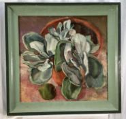 Rosemary Rutherford (1912-1972) oil on canvas - Cactus, signed to frame verso, 52cm x 54cm, framed P