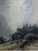 Peter Partington, contemporary, watercolour - West Country Buzzards, signed, in glazed gilt frame, 3