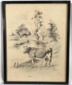 Herbert Wynn Hellings (1873-1948) pencil, cow before a river, signed and inscribed 'Suffolk', 30 x 2