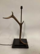 Red Deer Antler lamp, 62cm including fitting, on 25cm square base
