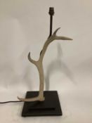 Antler Lamp, 65cm including fitting, on 25cm square base