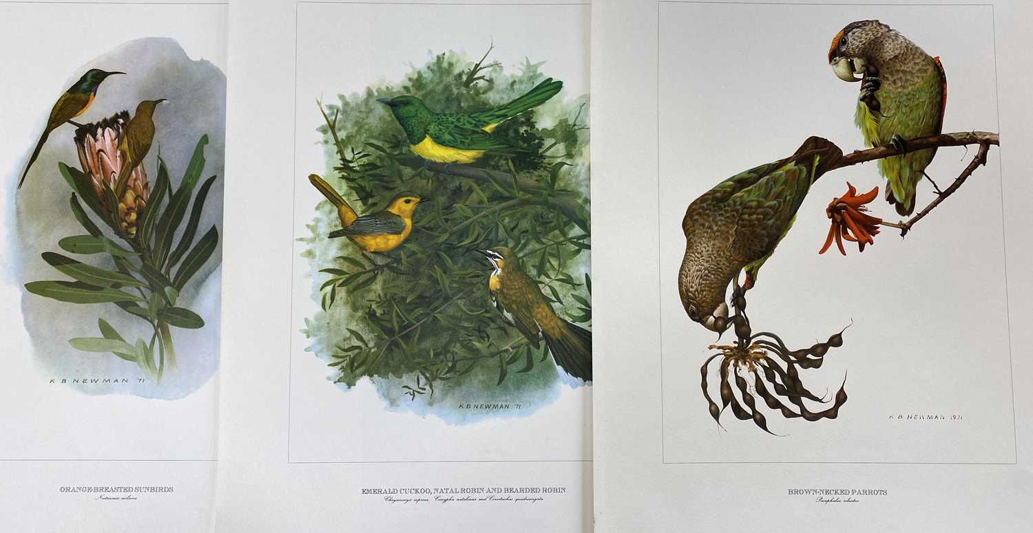 COLLECTION OF VARIOUS BOOKS, mixed subjects, some Welsh titles Provenance: deceased estate Gwynedd - Image 2 of 2