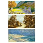WELSH ARTISTS GROUP OF THREE PICTURES, Audrey Hind oil on board, titled verso 