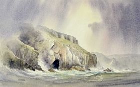 DAVID BELLAMY watercolour - entitled verso 
