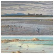 DONALD WATSON (British, 20th Century) three ornithological studies - 'Shellduck on the Cree