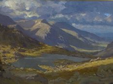 DAVID WOODFORD (British b.1938) oil on card - Nant Ffrancon o Fochlwyd, signed lower left, 20 x
