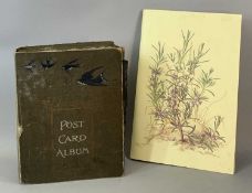 GOOD SELECTION OF VINTAGE POSTCARDS early 20th century, including WWI within one album, approx.