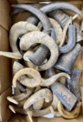 QUANTITY OF RAM'S & OTHER HORNS, approximately 18 Provenance: private collection Gwynedd