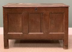 18TH CENTURY COFFER with three panel front, 180 (h) x 120 (w) x 56cms (d) Provenance: private