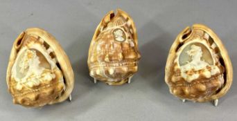 THREE CAMEO CONCH SHELLS carved with portraits, 12.5cms (l) the largest Provenance: private